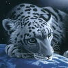 awatar